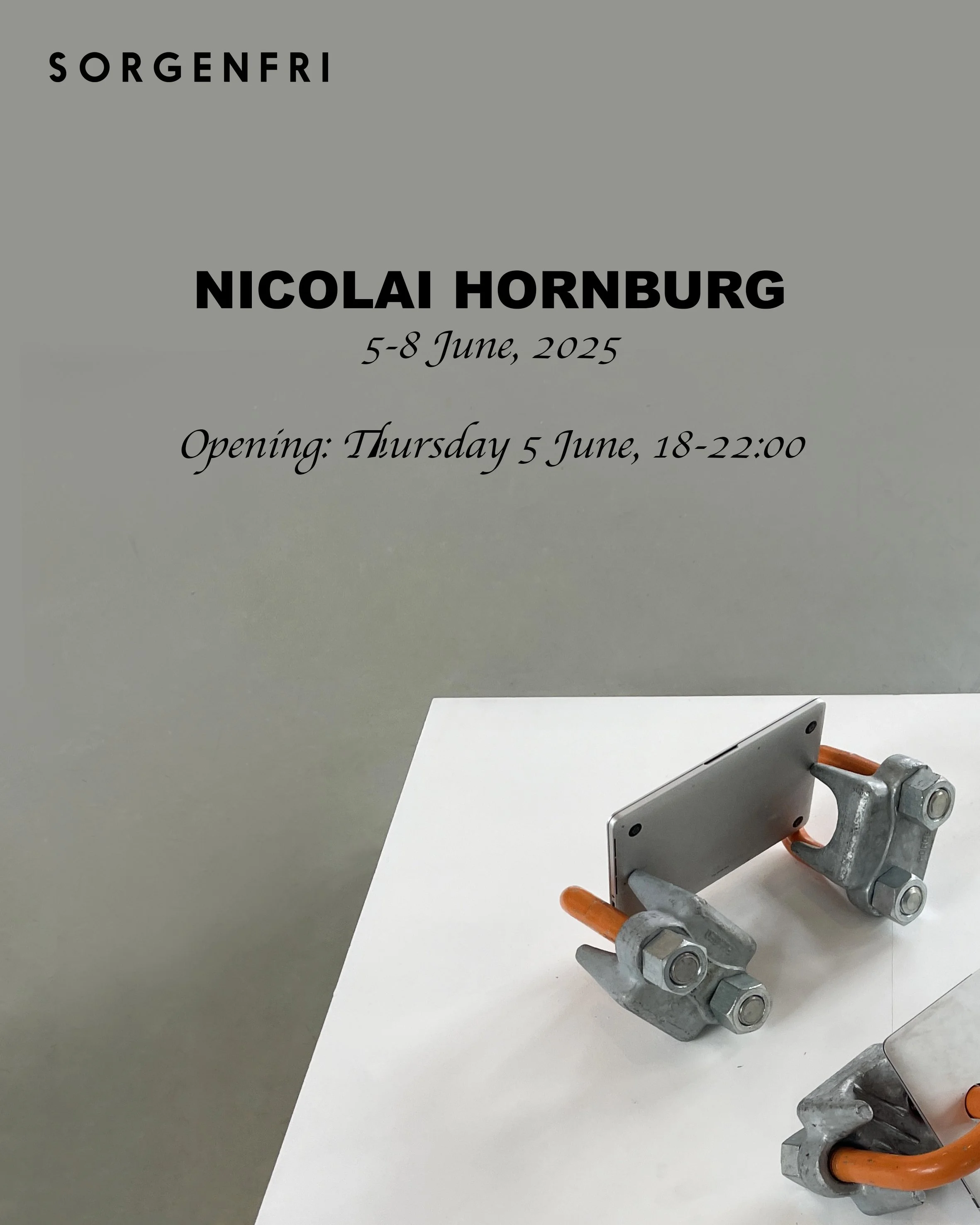 Nicolai Hornburg — SORGENFRI